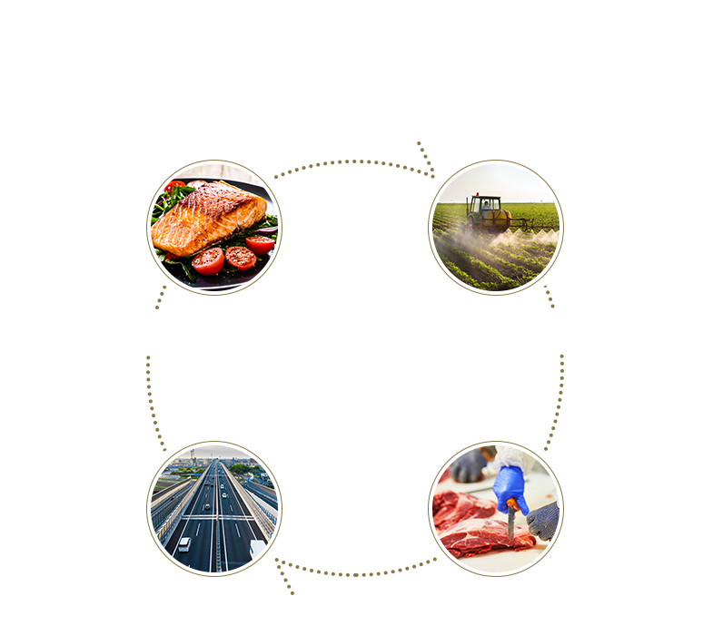 人々の豊かな食を担う鮮龍グループ 鮮龍グループは生産（川上）から消費（川下）までを包括して安心・安全も一緒にお届けします。